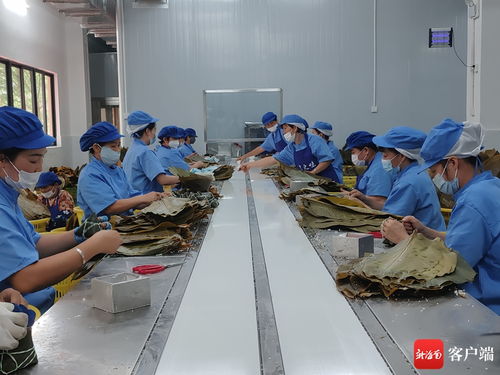 万粽飘香忙出单，和乐粽企迎战端午生产高峰