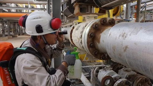 中原品牌 天然气处理厂首个国际脱酸项目投产一次成功，品牌实力赢得“品四方”美誉